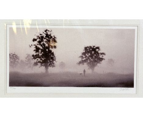 AFTER JOHN WATERHOUSE, 'THE WALK I', a limited edition print, 489/495, signed and numbered in pencil, with certificate, 44cm 