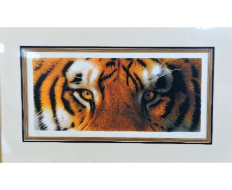 AFTER JOHN MOULD, 'EYE OF THE TIGER', a limited edition print 40/195, signed and numbered in pencil, mounted and framed, 38cm