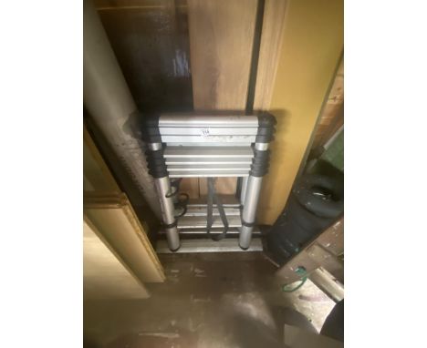 An extending metal telescopic ladder.