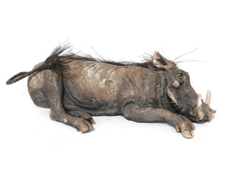 Nick Mackman SWLA (b.1972) WarthogSigned, raku fired ceramic, 56cm longDamage at the tail join with some loss showing the int