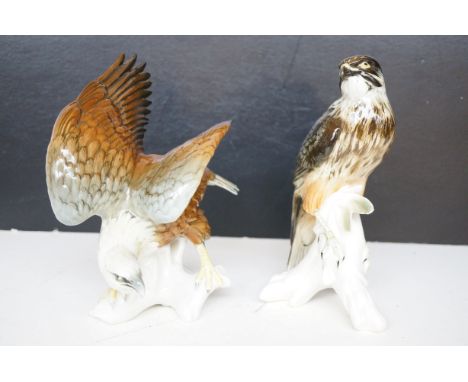 3x Continental ceramic hawks 