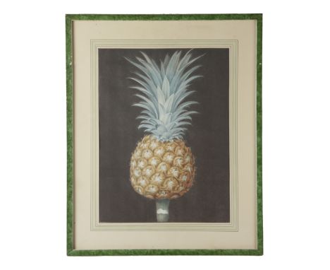ELEVEN 'POMONA' HAND-COLOURED ENGRAVINGS OF FRUIT AFTER GEORGE BROOKSHAW (1751-1823) depicting, peaches, cherries, strawberri