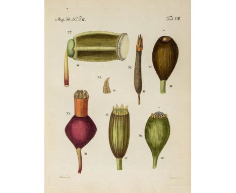 Hedwig (Johann) - Fundamentum Historiae Naturalis Muscorum Frondosorum, 2 parts in 1 vol.,  first edition ,  20 hand-coloured