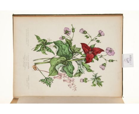 Traill (C.P.) - Canadian Wild-Flowers,  title with chromolithograph floral border, 10 hand-coloured lithograph plates by Agne