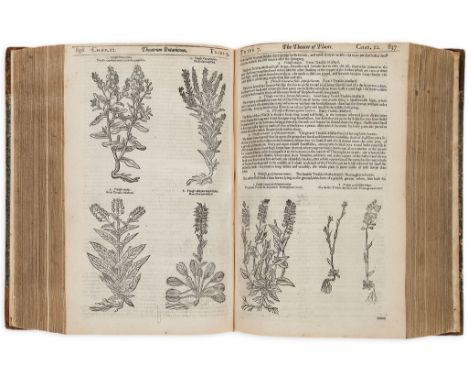 [Parkinson (John)] - [Theatrum Botanicum: The Theater of Plants],  first edition  ,   lacking 24pp. at beginning (engraved ti