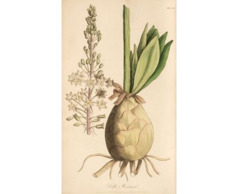 Medical Botany. Medical Botany: or, the History of Plants in the Materia Medica of the London, Edinburgh, and Dublin Pharmaco