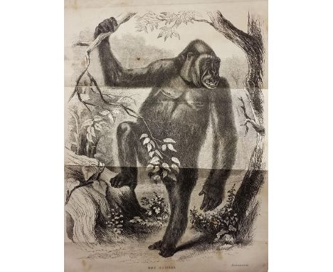 Du Chaillu (Paul B.). Explorations &amp; Adventures in Equatorial Africa;..., 1st edition, London: John Murray, 1861, 74 engr