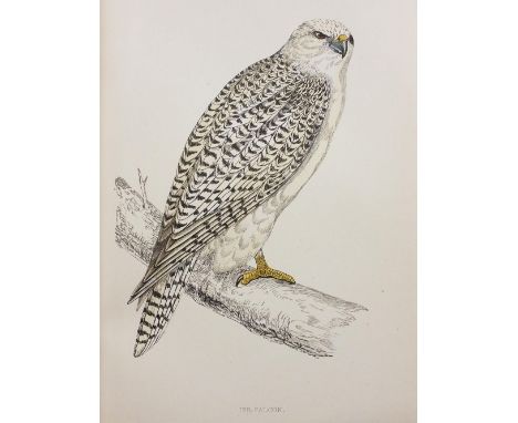 Morris (F. O.). A History of British Birds, 8 volumes, London; Groombridge and Sons, circa 1860, numerous hand-coloured plate