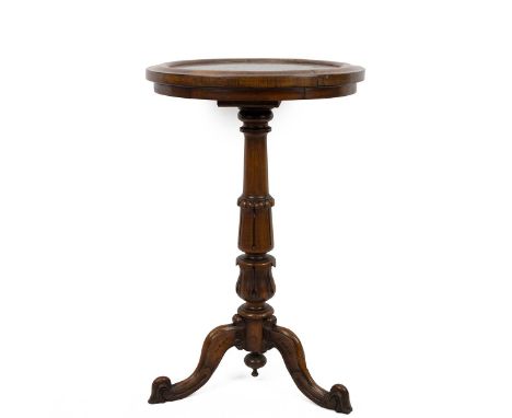 William IV rosewood and large fossil black ammonite top specimen table. Mahogany tripod base with acanthus flower column &amp