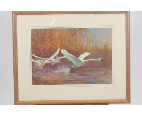 James Hamburg, Swans Visiting, pastel, signed and titled lower left, 38cm x 54cm