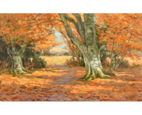 Byron Cooper, Autumn woodland, oil on panel, signed and dated, 9" x 14", (22.5x35.5cm) (unframed).