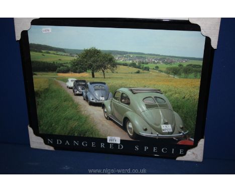 A Volkswagen Print entitled 'Endangered Species'