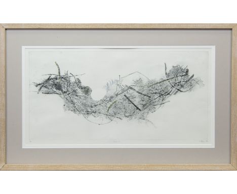 * LOUISE SCOTT (SCOTTISH CONTEMPORARY), NEST I limited edition colour print, signed in pencil and numbered 1/10 32cm x 62cm M