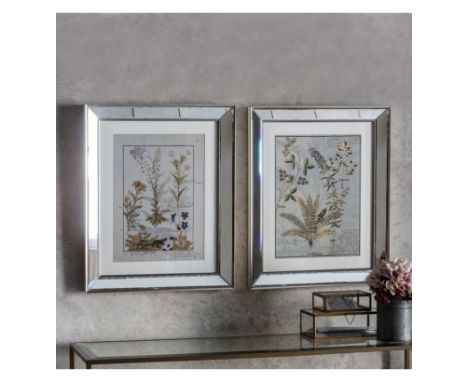 Wall Art  Botanica Floral I Framed Art Set of 2 475 x 30 x 575mm Classical botanical study print in a traditional illustrativ
