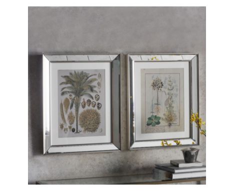 Wall Art  Botanica Floral II Framed Art Setof2 470 x 30 x 575mm Classical botanical study print in a traditional illustrative