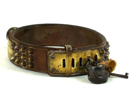 A 19th Century brass and leather dog collar
With applied brass studs and plaque named L. Larcheveque Veteunaure Macon, comple
