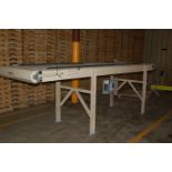 Nolin Motorized Belt Conveyor, 156 in. Length x 36 in. Wide Belt, 1 HP Motor, 208-230/460 Volt,