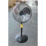 Marvin 20" Pedestal Fan