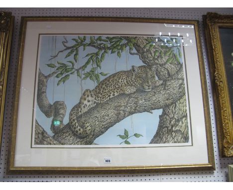 Christine Marshall, Study of a Leopard in a Tree, ltd edition colour print of two hundred and fifty, 53 x 75cm, graphite sign
