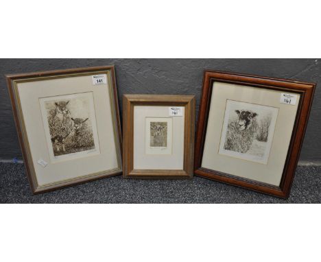 Group of three etchings depicting sheep, signed D O Beattie, to include 'Full Fleece', 'Solitary', and 'Aubrey's Ewe'. All li