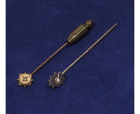 Two lapel/tie pins