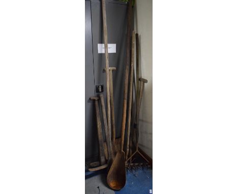 A Collection of Vintage Tools to Include Long Handled Scoop and Long Handled Sheep Dipping Pole 