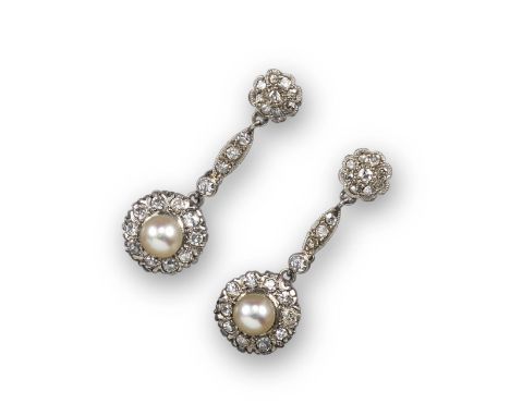 A pair of untested pearl and diamond drop earrings, the pearls set within a surround of circular-cut diamonds, suspended from