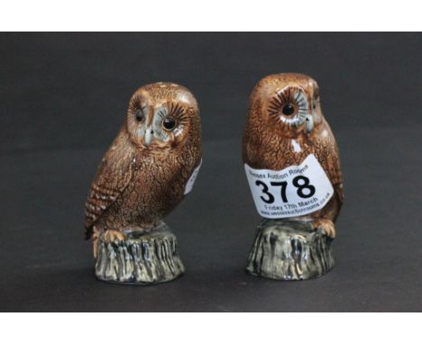 Pair of ceramic salt & pepper pots in the form of owls
