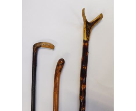 Three walking sticks, comprising a horn handled hiking stick, 133cm long, and two turned examples. (3)