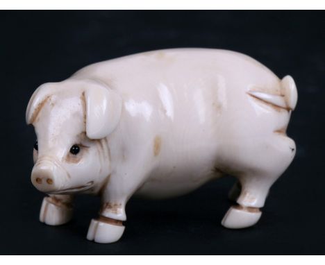 An early 20th century ivory netsuke of a pig, signed, 5cm (2 ins) long.