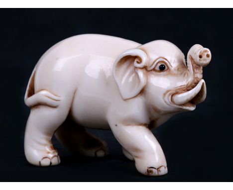 An early 20th century ivory netsuke of an elephant, signed, 5.7cm (2.25 ins) long.