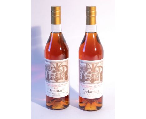 Delamain 1995 Grande Champagne Cognac Landed 1996 Bottled 2015 Berry Bros &amp; Rudd - 2 Bottles&nbsp;