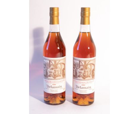 Delamain 1995 Grande Champagne Cognac Landed 1996 Bottled 2015 Berry Bros & Rudd - 2 Bottles 