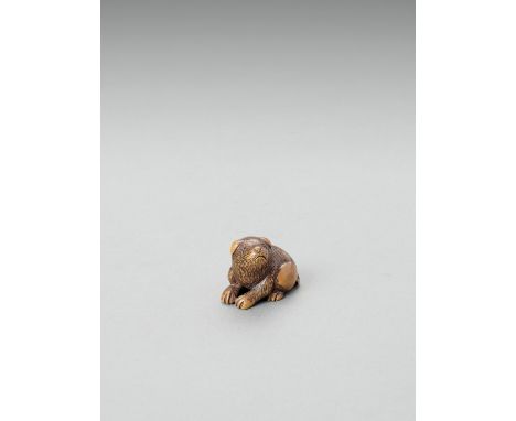   MASANOBU: A YAMADA SCHOOL WOOD NETSUKE OF A PIEBALD PUPPY  By Masanobu, signed Masanobu  Japan, Ise-Yamada, 19th century, E