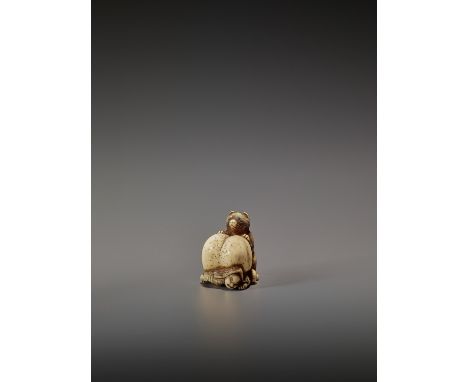   SHUNGETSU: IVORY NETSUKE OF A TANUKI SUFFOCATING A HUNTER WITH HIS SCROTUM  By Shungetsu, signed Shungetsu  Japan, Tokyo, l