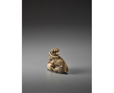   AN IVORY KYOTO SCHOOL NETSUKE OF A DOG WITH A BALL  Unsigned  Japan, Kyoto, first half of the 19th century, Edo period (161