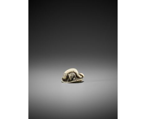   AN IVORY NETSUKE OF A SQUIRREL AND MUSHROOMS  Unsigned  Japan, 19th century, Edo period (1615-1868)    A squirrel (risu), w