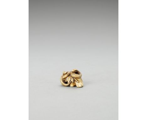   MUNEMITSU: AN IVORY NETSUKE OF TWO COILED SNAKES  Signed Munemitsu  Japan, Meiji period (1868-1912)    Finely carved and sk