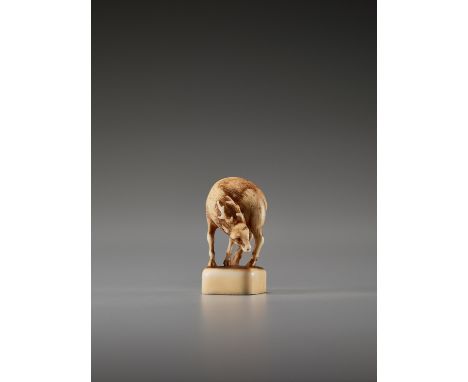   A VERY FINE AND RARE IVORY SEAL NETSUKE OF A DEER  Unsigned  Japan, 19th century, Edo period (1615-1868)    An ingyo (seal)