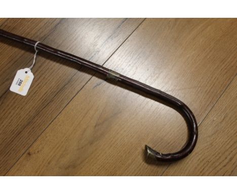 Walking cane with silver collar