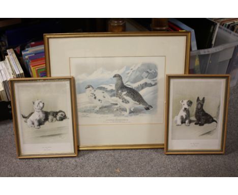 A FRAMED AND GLAZED LITHOGRAPH ENTITLED LAGOPUS HYPERBOREUS, TOGETHER WITH A PAIR OF CECIL ALDIN DOG PRINTS (3)