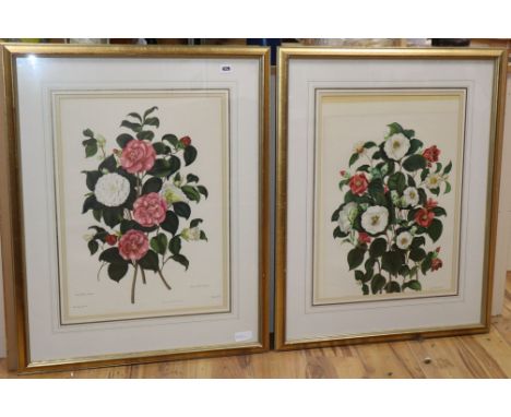 After Weddell and Pope, set of 4 colour prints, Flower studies, 59 x 43cm
