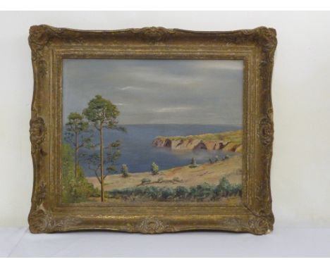Oil on panel of a cliff and seaside scene,  indistinctly signed bottom right, 39 x 49cm