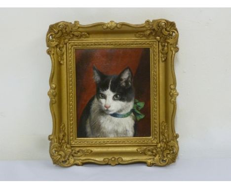 Dixon Clark oil on panel of a cat, signed bottom right, 19 x 16cm