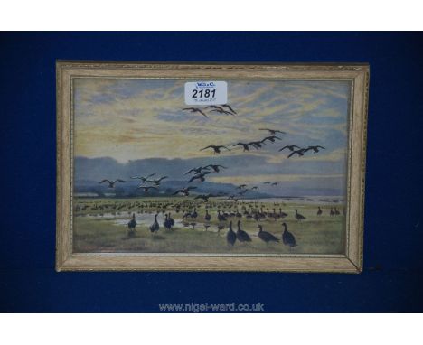 A framed Peter Scott Print 'A Crowd on the Dumbles'.