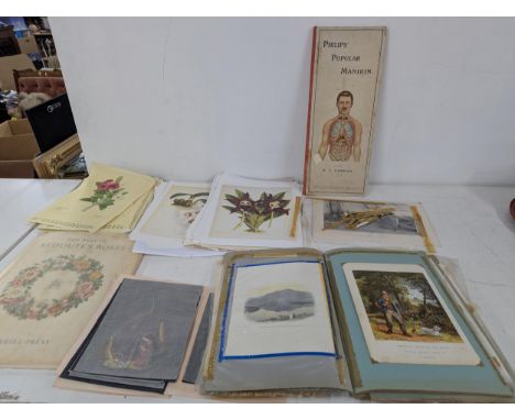 Mixed ephemera to include the book 'Philips Popular Manikin edited by W.S Furneaux, botanical prints, a scrap book Location:I