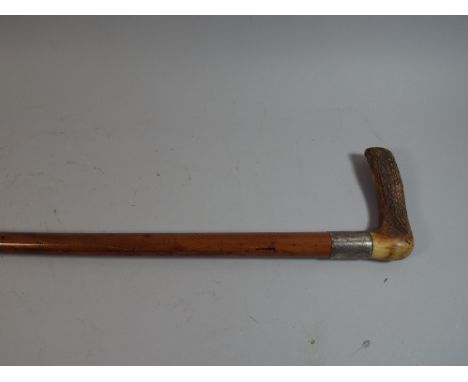 A Silver Mounted Bone Handled Walking Stick 