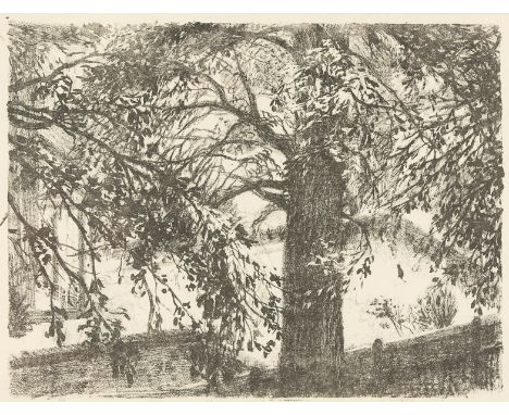 B K /Cat on a Lawn/signed beneath mount/print, 23cm x 30cm CONDITION REPORT: ARR Artist's Resale Right may apply to the sale 
