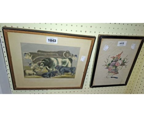 A framed 19th Century hand coloured lithograph book plate of prize cattle, taken from 'Modern Practical Farriery' - sold with