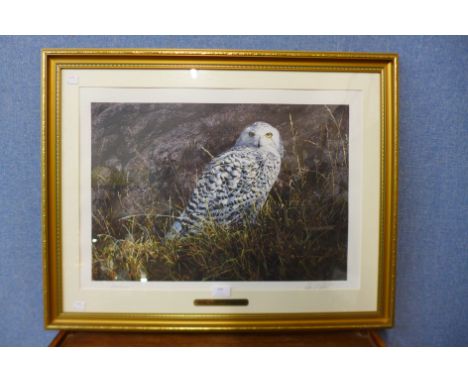 A signed Alan M. Hunt limited edition print, Arctic Knight, Snowy Owl, no. 1249/1250, framed 